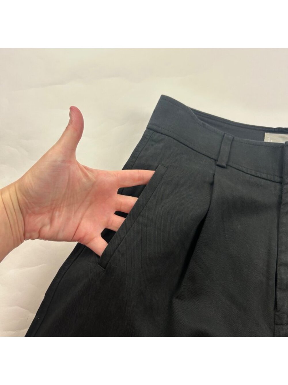 SHORT Everlane Black Tencel Blend Canvas Wide Leg Pleated Trouser 4S - Picture 3 of 7